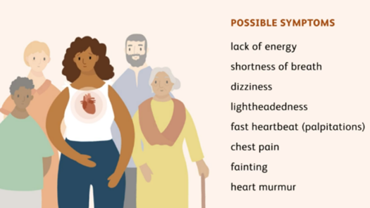 Video about hypertrophic cardiomyopathy (HCM) and what happens in the body when a person has HCM